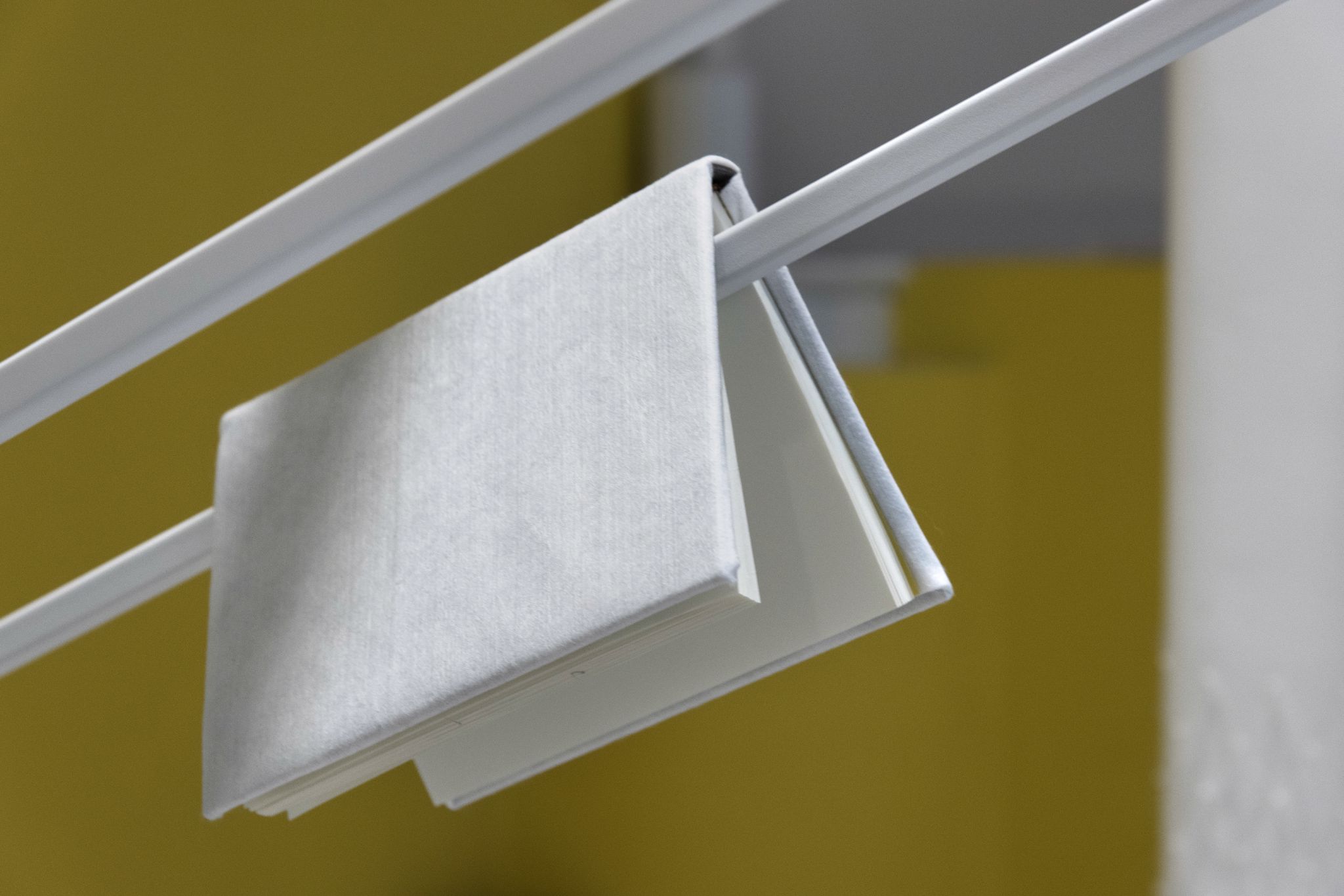 DSC 0455 como objeto inteligente 1